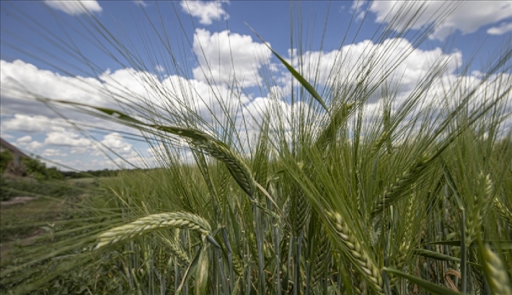Emtia piyasasında sert dalgalanmalar!
