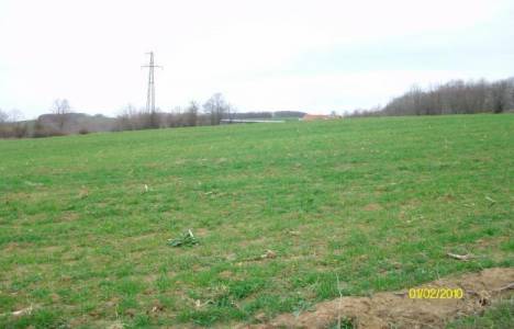 Arazi emlak vergi oranları!