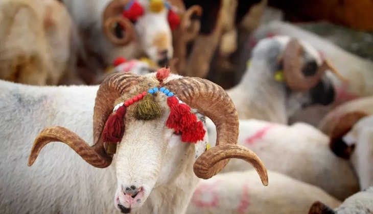 Kamuda çalışan işçilere müjde! İşte ikramiyelerde ilk ödemelerin yatacağı tarih
