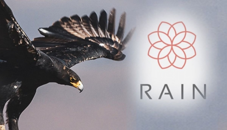 Beşiktaş ın kripto parası var mı, ne zaman çıkacak? Rain nedir?