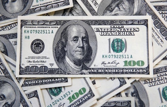 Döviz hesapları 231 milyar doları aşarak rekor kırdı!