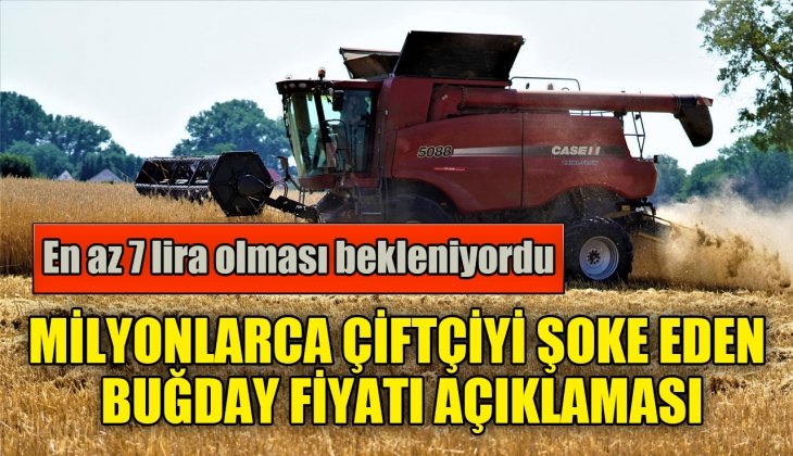 Milyonlarca çiftçiyi şoke eden buğday fiyatları açıklaması! 7 lira bekleniyordu