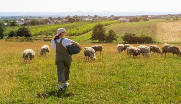 Datça’da belediye, taksitle ekolojik turizm arazisi satıyor! 2025’in ilk fırsatını kaçırmayın