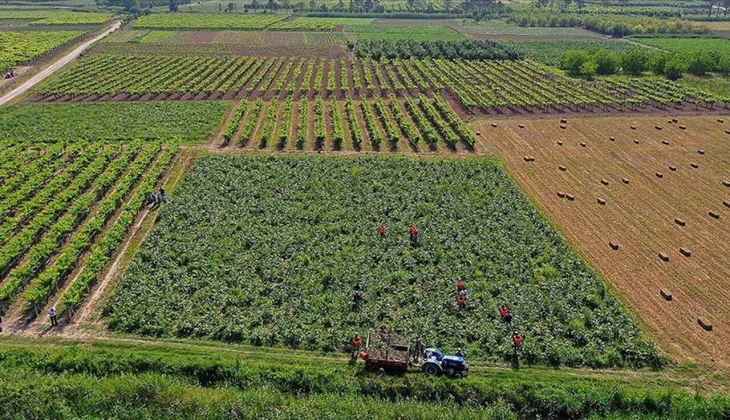 Çiftçiler hemen hesaplarınıza bakın! Mazot gübre desteği... Peş peşe açıklandı! Kontrol etmeyen pişman olur!