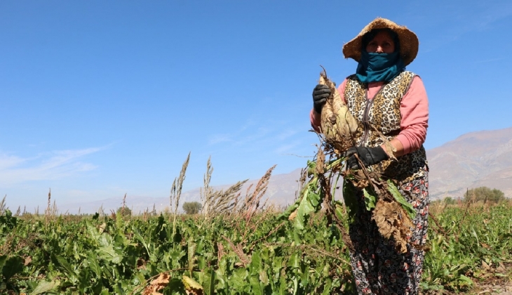 Bakan müjdeyi verdi: Hesaplarınızı kontrol edin, ödemeler bu ay yapılacak
