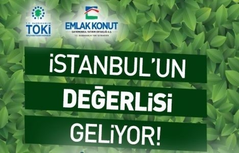  Yeni Yapı Alibeyköy projesi nerede? 