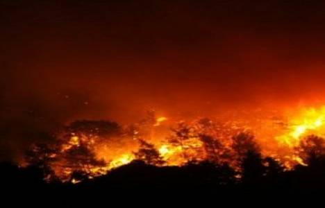 Uşak'taki orman yangınında 4 hektarlık alan zarar gördü!