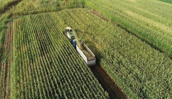 Çiftçilere son dakika Eylül müjdesi: Hesaplara 3 milyar TL yatacak! İşte tarımsal destek ödemeleri...