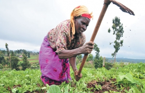 Türkiye Cibuti ve Sudan'da arsa bakıyor!