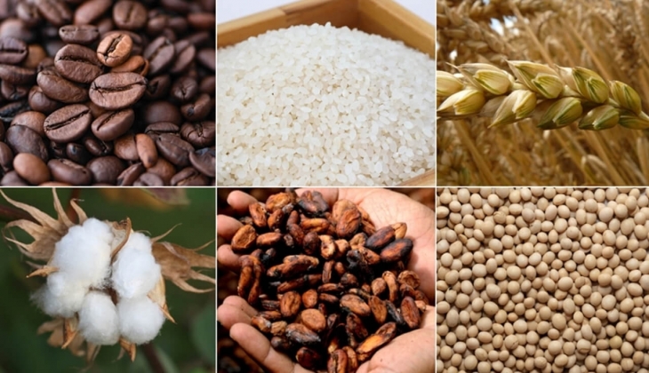 Bakır ve pamuk, 2022’de küresel ekonomiye damga vurdu!