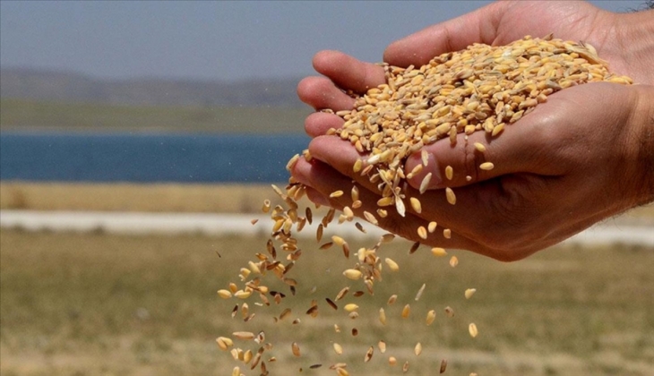 TMO’dan son dakika hububat açıklaması! Bir bir açıkladı!