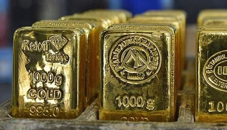 Nisan da en çok kazandıran külçe altın oldu! En çok kaybettiren yatırım aracı da açıklandı! 