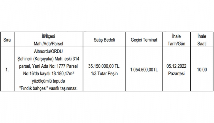Altınordu Belediyesi Ordu da fındık bahçesi satacak!