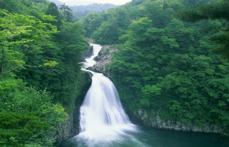 Havza Yönlendirme Kurulu