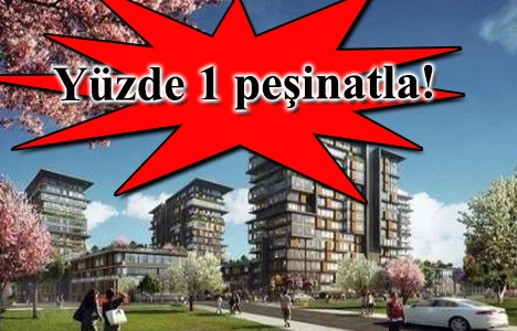 İnistanbul Lokal son durum