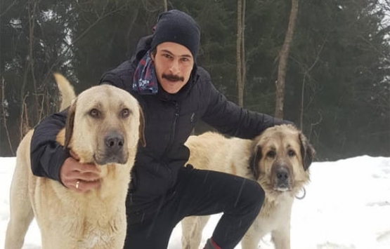 İsmail Hacıoğlu da köyden ev aldı!