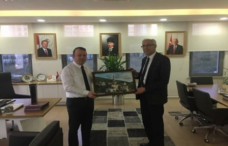 TOKİ Sakarya Taraklı konutları