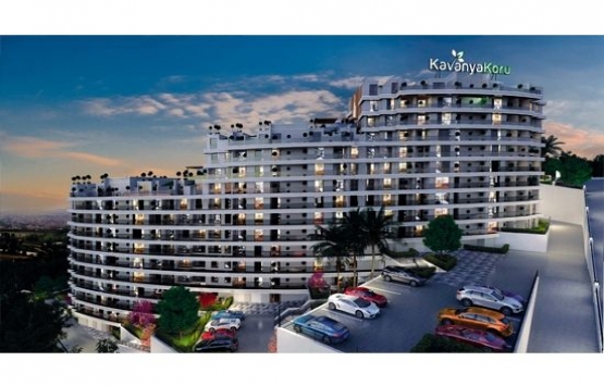 Kavanya Koru iletişim