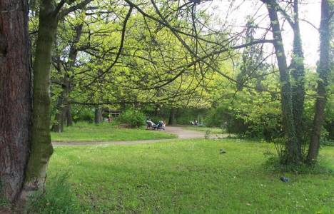 Dönüşümle kişi başına 12 metrekare yeşil alan olacak!