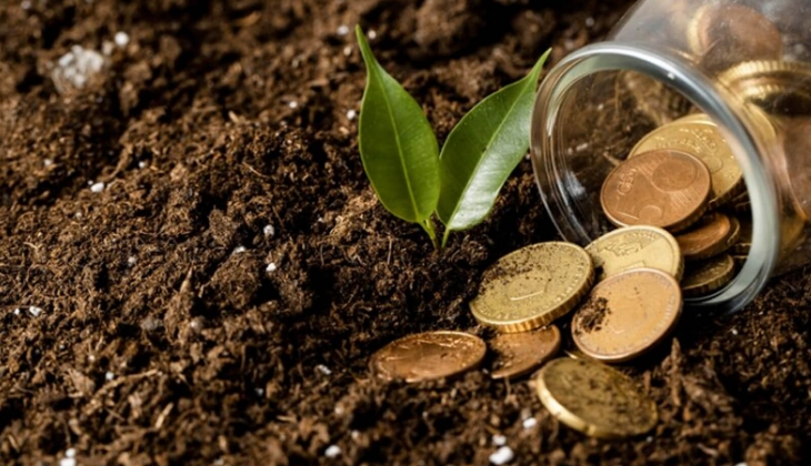 Toprak yatırımında sizi kurtaracak stratejik yöntem açıklandı. Bütçeniz olsa bile bunu yapmayın!