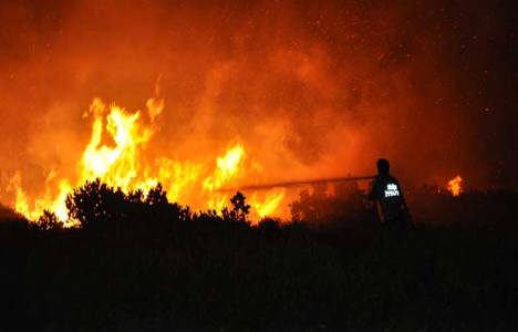 Aydın'da 4 hektar alan küle döndü!