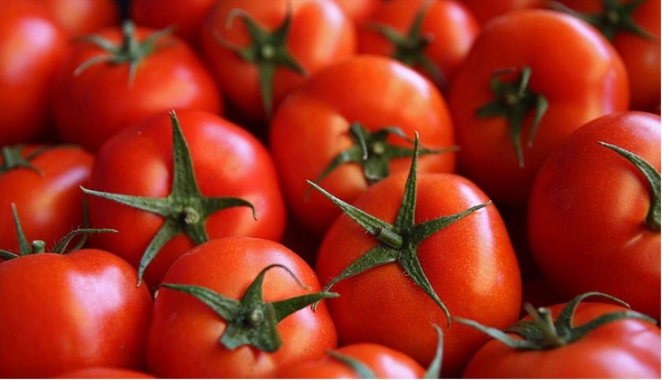 Domates tarihi zirveyi gördü! Halde kg fiyatı 15 TL olan domates A101, Carrefoursa, MİGROS ta kaç TL? İşte fiyat listesi