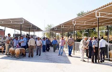 Aydın Karacasu Pazarı genişletildi!