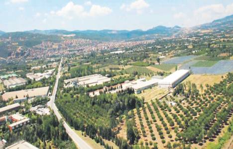  Albayraklar Holding Orhangazi'de kağıt fabrikası kuruyor!