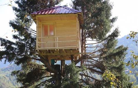 Rize'de çam ağacının üzerinde ev!