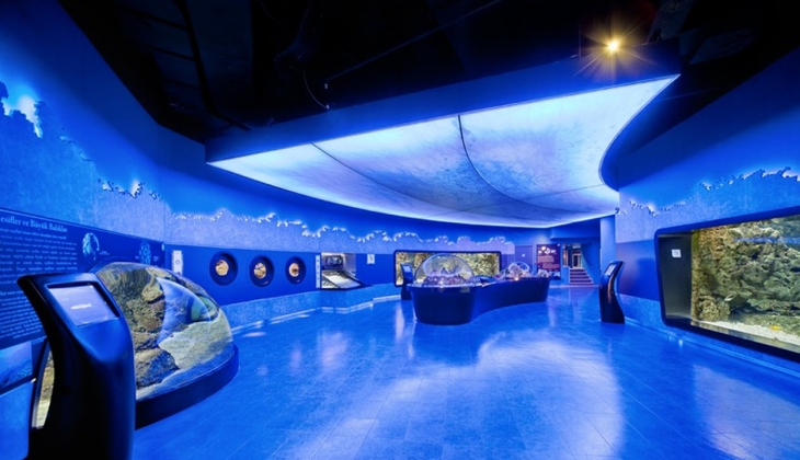 İstanbul Akvaryum giriş ücretleri ne kadar? İşte Florya Akvaryum 17 Haziran 2022 fiyat listesi...