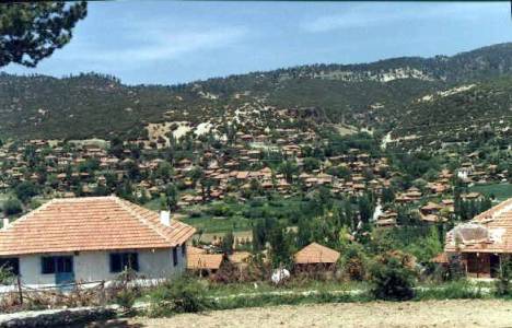 Yeşildere'de yeşil seferberliği!