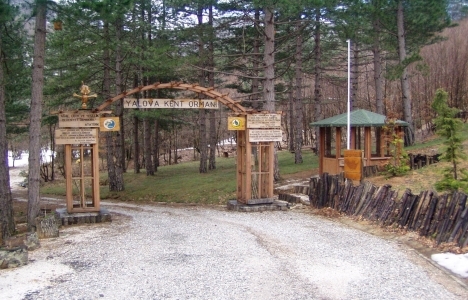 Yalova Kent Ormanı ziyaretçilerin uğrak noktası oldu!