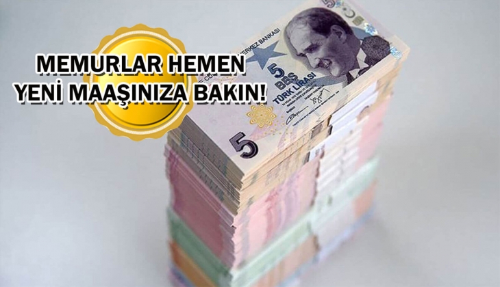 Memurların yeni maaşları tek tek açıklandı: Öğretmen, hemşire, doktor, polis 2024 Ocak'ta tam bu kadar alacak!
