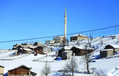 Doğaseverlerin gözdesi Petran Yaylası!