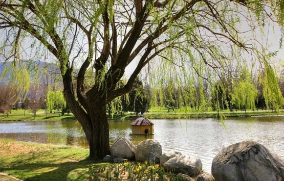 Soğanlı Botanik Parkı nın doğal SİT statüsü değişti!
