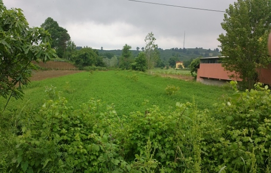 Tuzla satılık arsa ihalesi