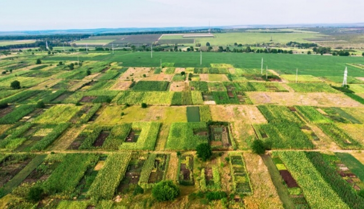 Milli Emlak, 22 adet arsa ve araziyi 33 bin TL’den başlayan fiyatlarla taksitle satıyor. Bu tarihlere dikkat!