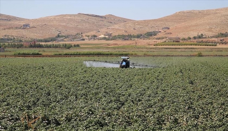 Gübretaş, Hektaş, Bağfaş ve Ege Gübre nin ilk çeyrek bilançoları açıklandı! Hangi şirket kar etti?