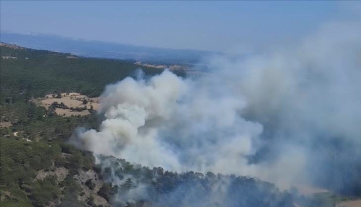 Çanakkale cayır cayır yanıyor! Son dakika: 7 ev hasar gördü, 9 köy boşaltındı, Çanakkale Boğazı kapatıldı!