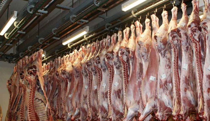 Rekor üstüne rekor kırıyordu! Şimdiki fiyatı 167 TL oldu!