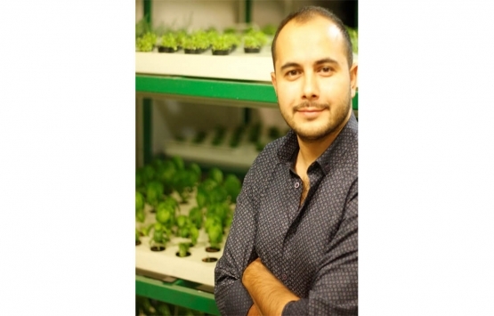 Devrimin yeni adı: Dikey tarım üniteleri!