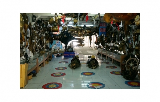 Türkiye Deniz Canlıları Müzesi izinsiz belediye alanı işgali iddiasıyla yıkıldı!