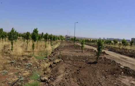 Diyarbakır Kent Ormanı için hukuksal süreç başladı!