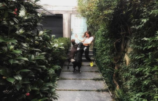 Kadir Doğulu ile Neslihan Atagül Kaz Dağları’nda arsa alıyor!