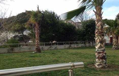 Avcılar da Satış Memurluğu ndan yüzde 50 bedelle havuzlu restaurant!