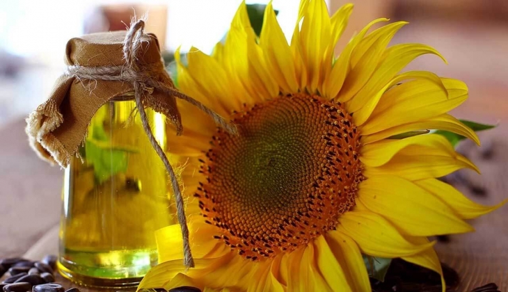 Ayçiçek yağına rekor indirim! Marketlerde ayçiçek yağı rekabeti! Stoklar erimeden alın! 15 Ocak 2023 fiyat listesi…