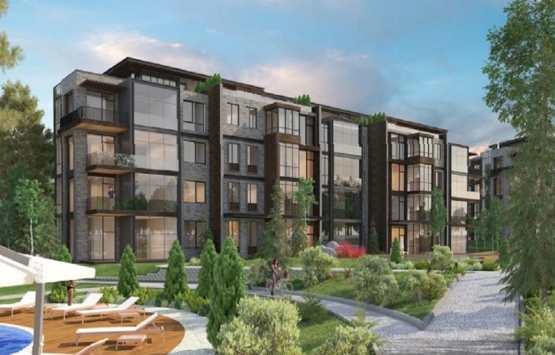 Mesa Orman 2 nerede?