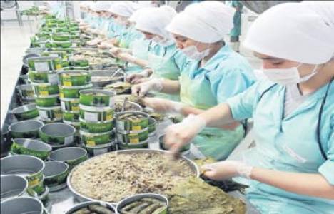 Yurt Konserve Manisa'da 20 milyon TL'ye fabrika kuracak!