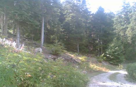 Orman içi köy nedir?