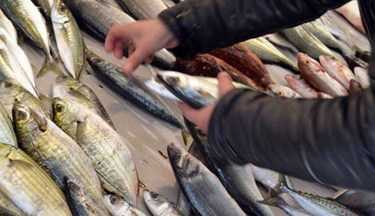 İstanbul Balık Hal fiyatları açıklandı! Hamsi kutu 80 TL, lüfer 50 TL, somon 60 TL! 2 Ocak 2023 fiyat listesi